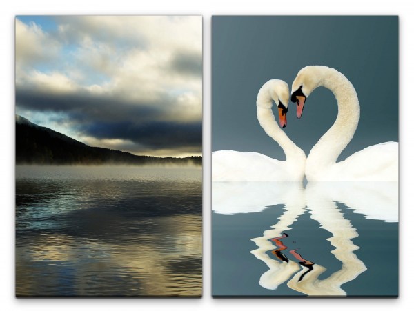 Paul Sinus Art 2 Bilder je 60x90cm Liebe Swan Weiße See Berge Romantisch Herz