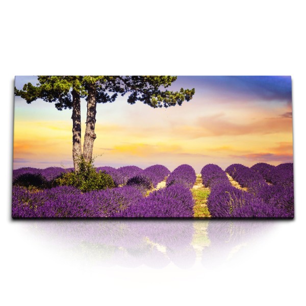 Kunstdruck Bilder 120x60cm Lavendel Lavendelfeld Malerisch Landschaft Natur