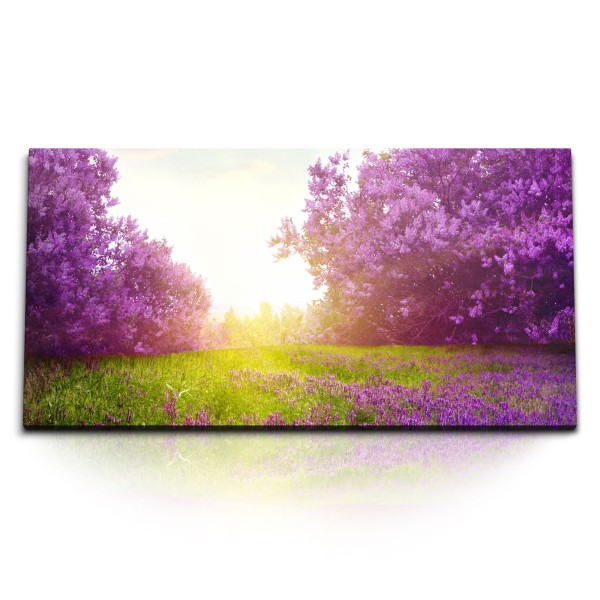 Paul Sinus Art Kunstdruck Bilder 120x60cm Violette Baumblüten Frühling Blüte Natur Sonnenschein