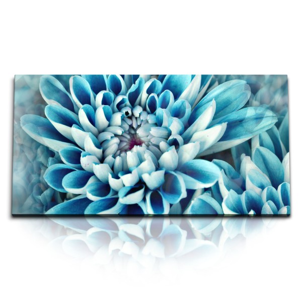 Paul Sinus Art Kunstdruck Bilder 120x60cm Blaue Blume Blüte Fotokunst Hellblau Nahaufnahme