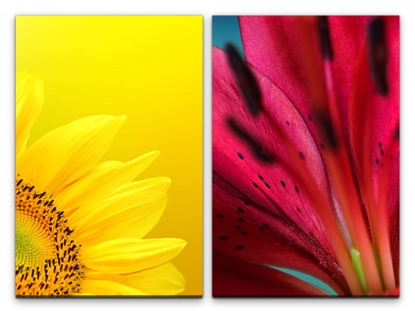 Paul Sinus Art 2 Bilder je 60x90cm Sonnenblume Gelb Rot Blumen Sommer Nahaufnahme Makrofotografie