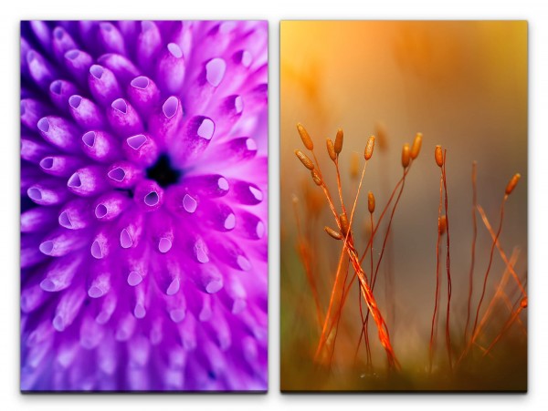 Paul Sinus Art 2 Bilder je 60x90cm Koralle Blumen Knospen Zart Dekorativ Violett Fotokunst