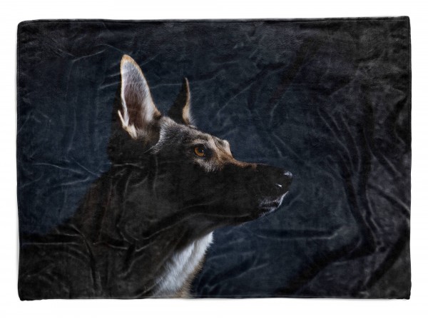 Paul Sinus Art Handtuch Strandhandtuch Saunatuch Kuscheldecke mit Tiermotiv Hund