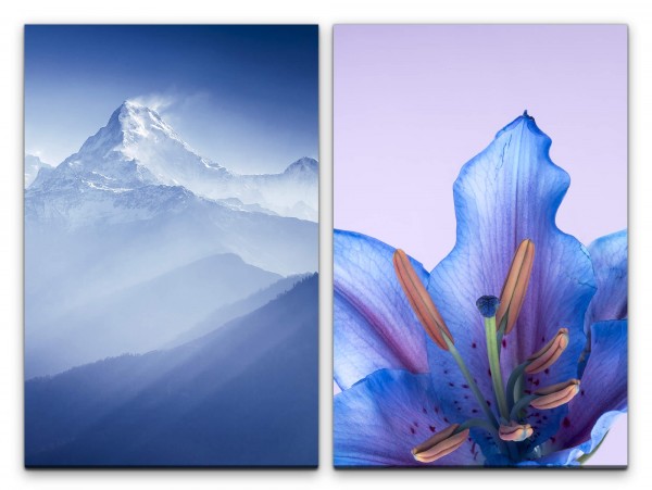 Paul Sinus Art 2 Bilder je 60x90cm Gebirge Berggipfel Himalaja Orchidee Blüte Blau Stimmig