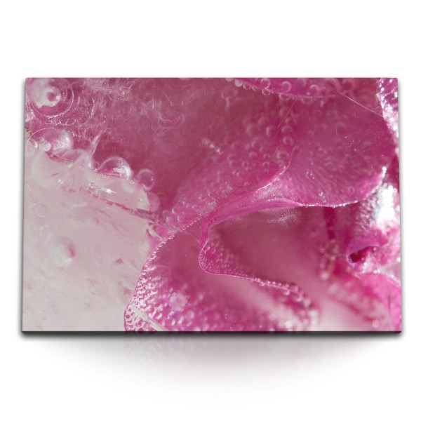 Paul Sinus Art 120x80cm Wandbild auf Leinwand Rosa Blüte Blume Wasser Makrofotografie