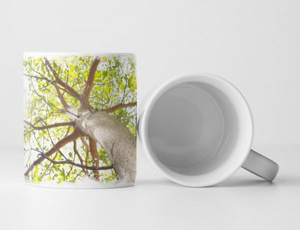 Paul Sinus Art Tasse Geschenk Naturfotografie – Baum aus der Froschperspektive