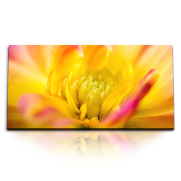 Paul Sinus Art Kunstdruck Bilder 120x60cm Makrofotografie Blume Blüte Gelb Orange