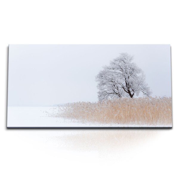 Paul Sinus Art Kunstdruck Bilder 120x60cm Winterlandschaft Baum Schnee Natur Weiß