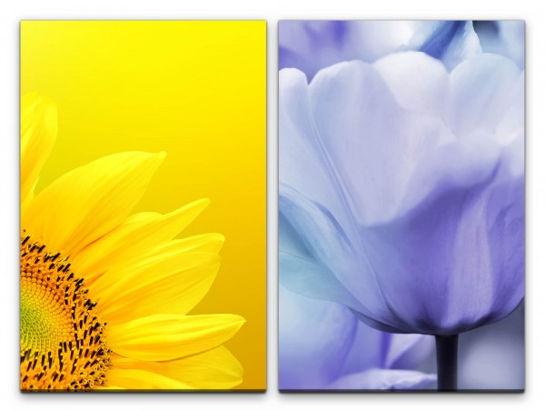 Paul Sinus Art 2 Bilder je 60x90cm Sonnenblume Gelb Sommer Tulpe Nahaufnahme Warm Makrofotografie