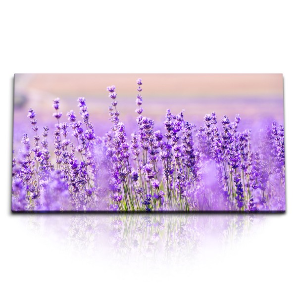 Paul Sinus Art Kunstdruck Bilder 120x60cm Lavendel Lavendelfeld Violett Blumen Sommer