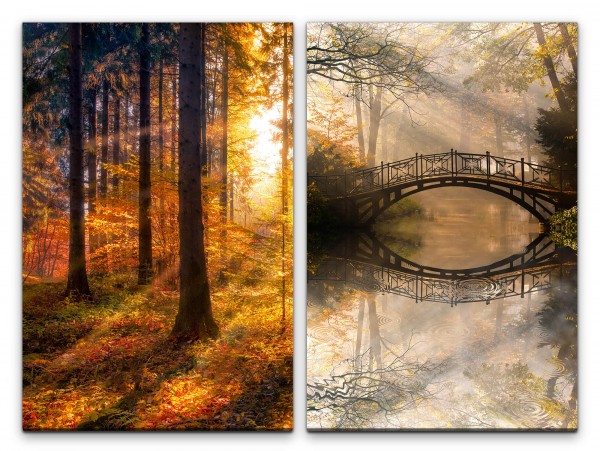 Paul Sinus Art 2 Bilder je 60x90cm Wald Herbst Sonnenstrahlen Golden Brücke Zauberhaft Idyllisch