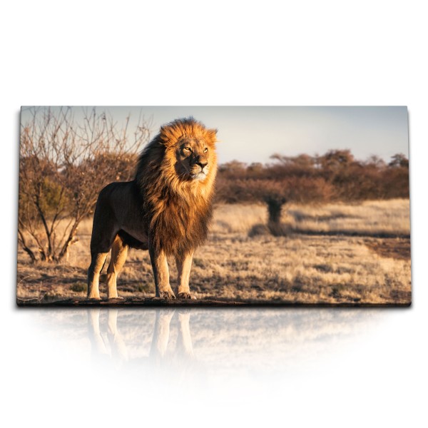 Paul Sinus Art Kunstdruck Bilder 120x60cm Afrika Löwe Wildnis Tierfotografie Raubkatze