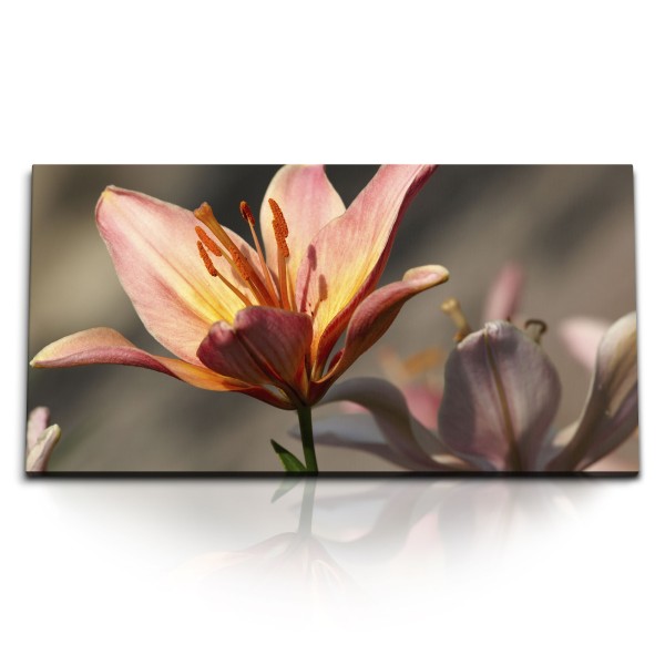 Paul Sinus Art Kunstdruck Bilder 120x60cm Lilien Blumen Blüten Sommer Natur