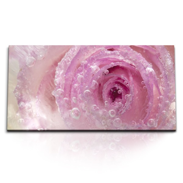 Paul Sinus Art Kunstdruck Bilder 120x60cm Blüte Blume Rosa Wassertropfen Makrofotografie Kunstvoll