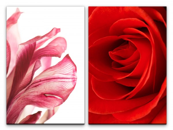 Paul Sinus Art 2 Bilder je 60x90cm Blume Blüte Rose Rot Passion Liebe Romantisch