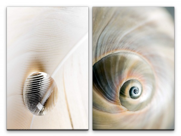 Paul Sinus Art 2 Bilder je 60x90cm Wasserperle weiße Feder Schneckenhaus Schnecke Spirale Fotokunst Makrofotografie