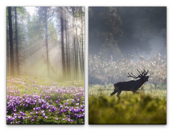 Paul Sinus Art 2 Bilder je 60x90cm Wald Elch Waldblumen Morgentau Natur Sonnenstrahlen Frühling