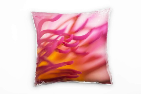 Paul Sinus Art Macro, Blumen, Blütenblätter, pink, orange Deko Kissen 40x40cm für Couch Sofa Lounge Zierkissen