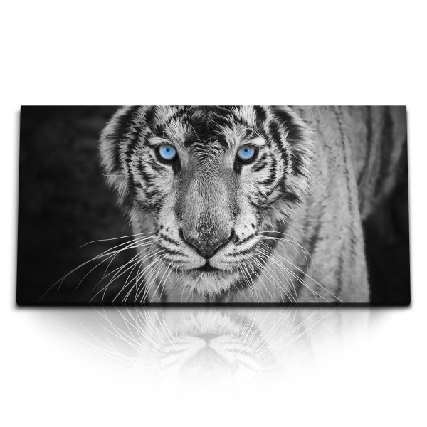 Paul Sinus Art Kunstdruck Bilder 120x60cm Tiger mit blauen Augen Raubkatze Tierfotografie