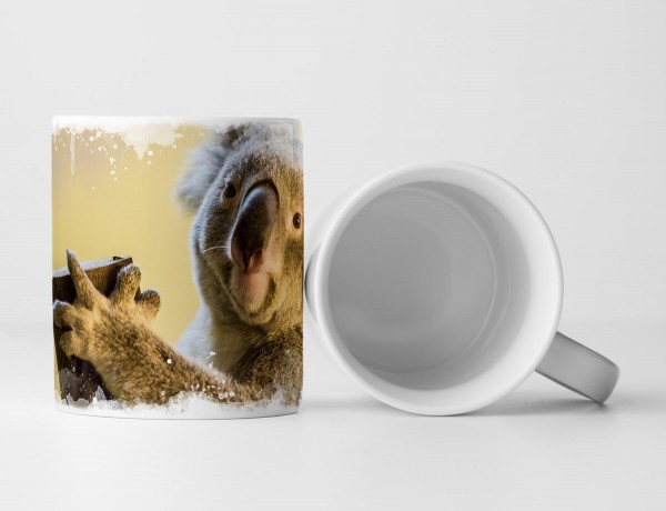 Paul Sinus Art Tasse Geschenk Tierfotografie – Koalabär