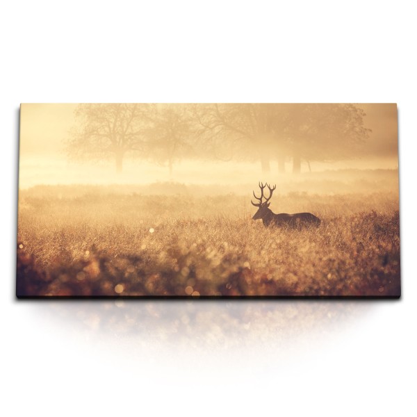 Paul Sinus Art Kunstdruck Bilder 120x60cm Hirsch Hirschgeweih Natur Morgentau Wald Tierfotografie