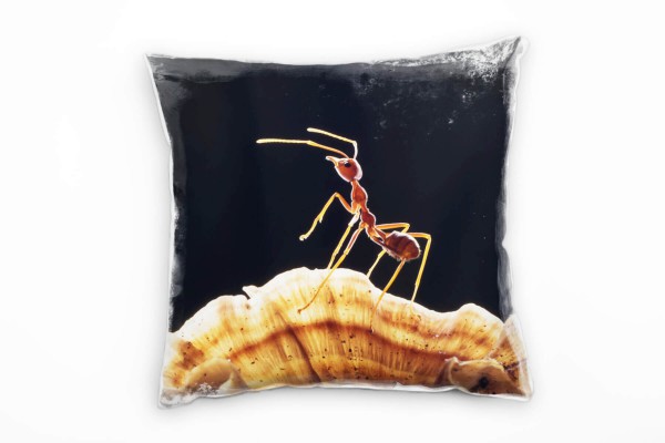 Paul Sinus Art Macro, Tiere, Ameise, braun, schwarz Deko Kissen 40x40cm für Couch Sofa Lounge Zierkissen