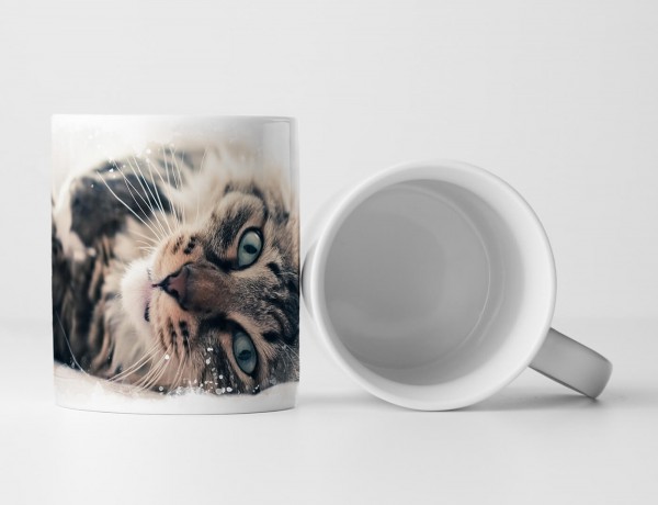 Paul Sinus Art Tasse Geschenk Tierfotografie – Süße Hauskatze auf dem Bett