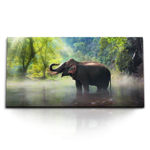 Paul Sinus Art Kunstdruck Bilder 120x60cm Thailand Elefant Asien Natur Dschungel Tropisch