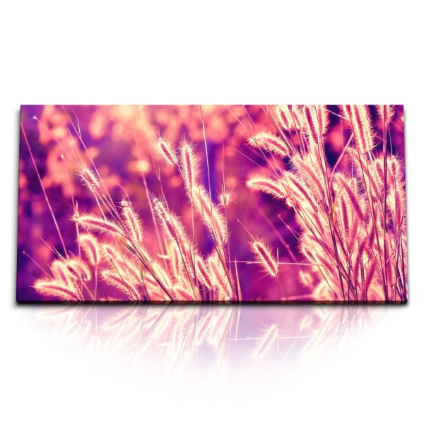 Paul Sinus Art Kunstdruck Bilder 120x60cm Natur Weizenfeld Rosa Abendrot Pflanzen Halme