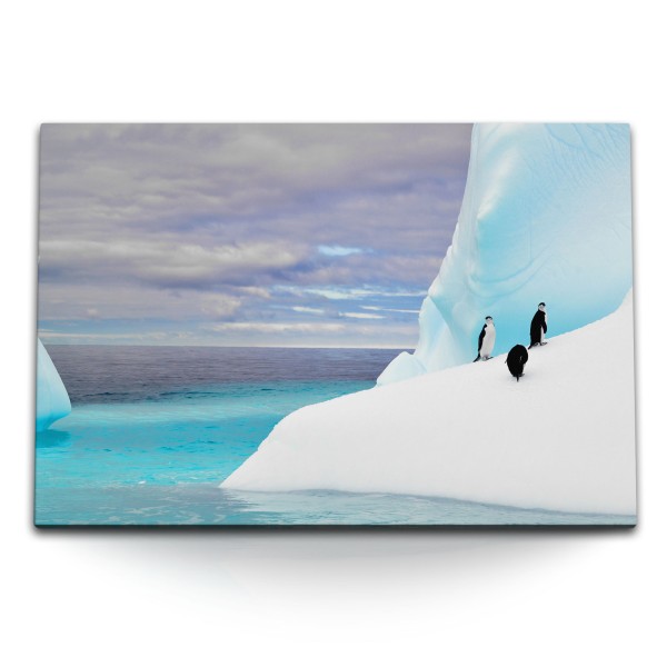 Paul Sinus Art 120x80cm Wandbild auf Leinwand Pinguine Eis Eisberg Südpol Blau Ozean