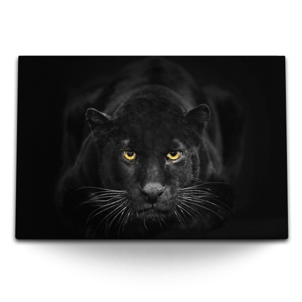 Paul Sinus Art 120x80cm Wandbild auf Leinwand Schwarzer Panther Jaguar Raubkatze Tierfotografie