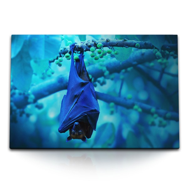 Paul Sinus Art 120x80cm Wandbild auf Leinwand Fledermaus Tierfotografie Baum Zweig Dunkelblau