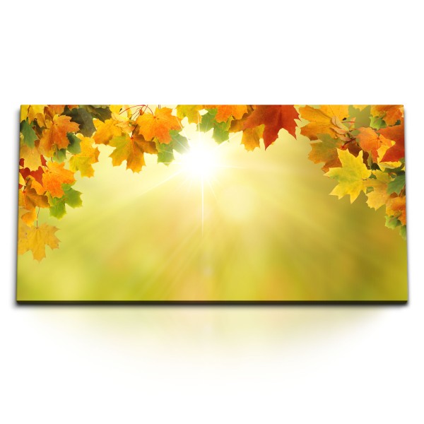 Paul Sinus Art Kunstdruck Bilder 120x60cm Sonnenschein Herbst Herbstblätter Sonnenstrahl