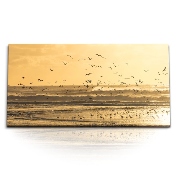 Paul Sinus Art Kunstdruck Bilder 120x60cm Meer Strand Wellen Vogelschwarm Horizont Ozean