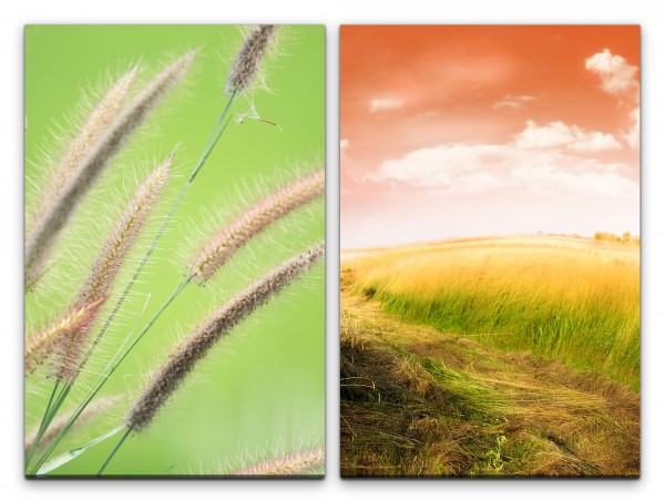 Paul Sinus Art 2 Bilder je 60x90cm Weizen Weizenfeld Roter Himmel Grün Horizont Sommer