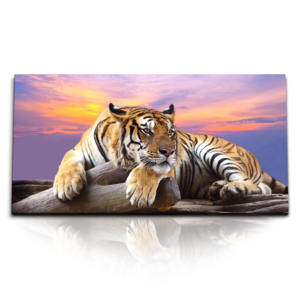 Paul Sinus Art Kunstdruck Bilder 120x60cm Tiger Tierfotografie Raubkatze Abendrot Kunstvoll