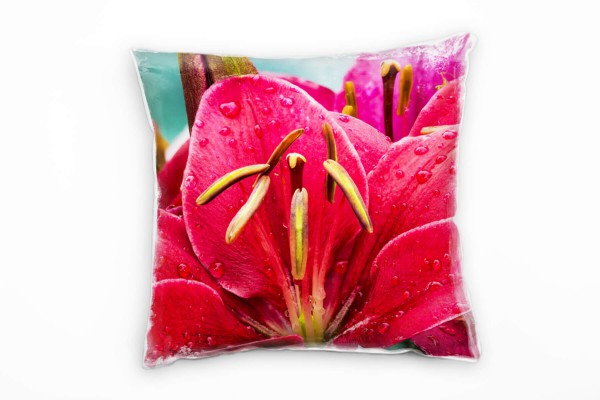 Paul Sinus Art Natur, rot, rosa, Blume, bunt, Macro Deko Kissen 40x40cm für Couch Sofa Lounge Zierkissen