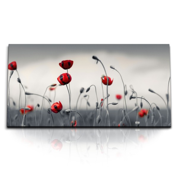 Paul Sinus Art Kunstdruck Bilder 120x60cm Rote Blumen Feldblumen Wildblumen Mohn