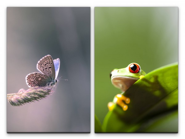 Paul Sinus Art 2 Bilder je 60x90cm Schmetterling Frosch Frühling Natur Freundlich Friedvoll Beruhigend