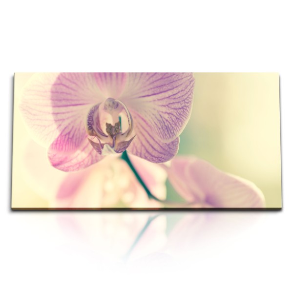 Paul Sinus Art Kunstdruck Bilder 120x60cm Orchidee Blume Blüte Pastelltöne Kunstvoll Dekorativ