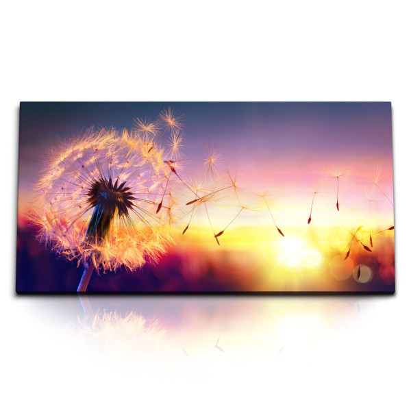 Paul Sinus Art Kunstdruck Bilder 120x60cm Sonnenuntergang Abendröte Pusteblume Fotokunst