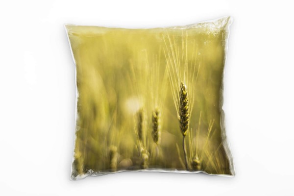 Paul Sinus Art Natur, Weizenfeld, gelb, grün Deko Kissen 40x40cm für Couch Sofa Lounge Zierkissen