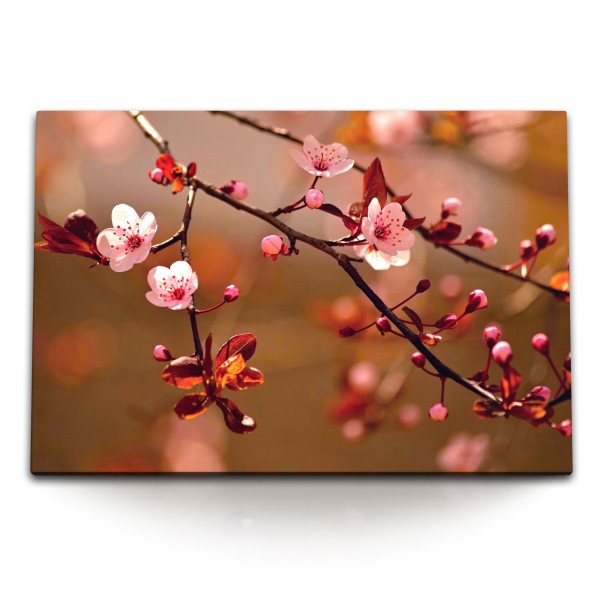 Paul Sinus Art 120x80cm Wandbild auf Leinwand Baumblüten Kirschblüten Rot Rosa Zweige Frühling