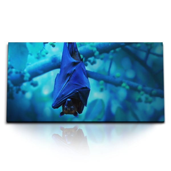 Paul Sinus Art Kunstdruck Bilder 120x60cm Fledermaus Tierfotografie Baum Zweig Dunkelblau