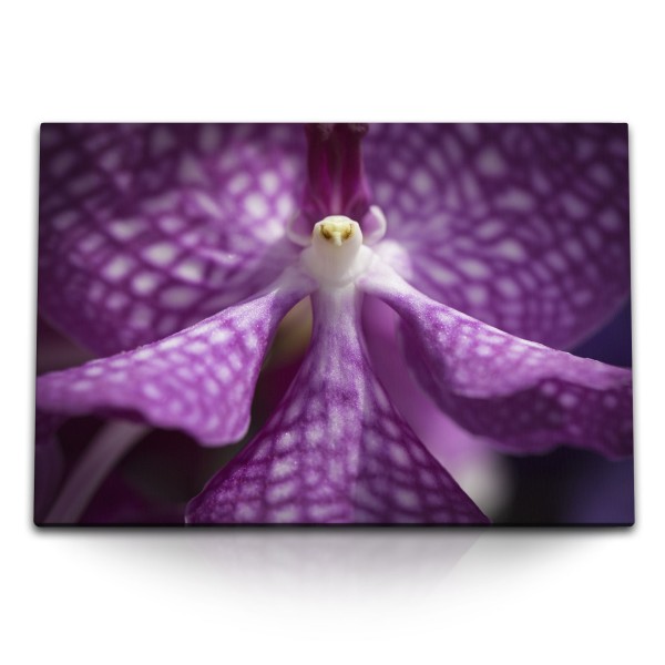 Paul Sinus Art 120x80cm Wandbild auf Leinwand Orchidee Violette Blume Blüte Kunstvoll Nahaufnahme