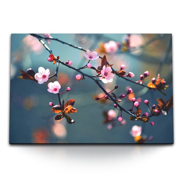 Paul Sinus Art 120x80cm Wandbild auf Leinwand Frühling Kirschblüten Baumblüten Ast Natur