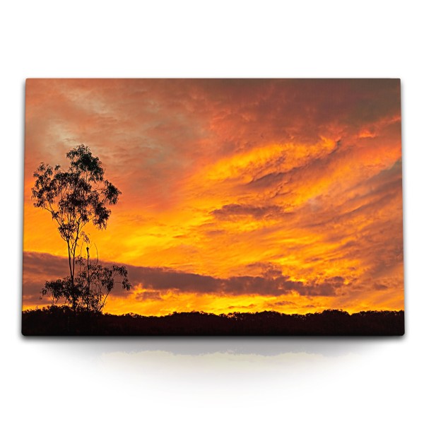 Paul Sinus Art 120x80cm Wandbild auf Leinwand Roter Himmel Sonnenuntergang Abendrot Baum Natur