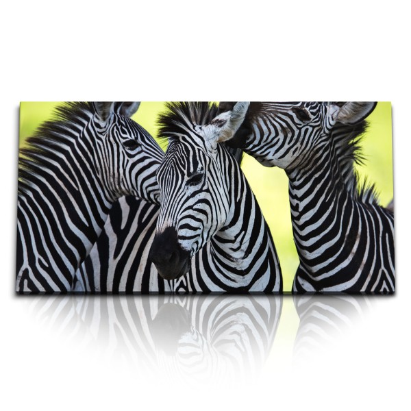 Paul Sinus Art Kunstdruck Bilder 120x60cm Zebras Afrika Tierfotografie Abendrot Natur