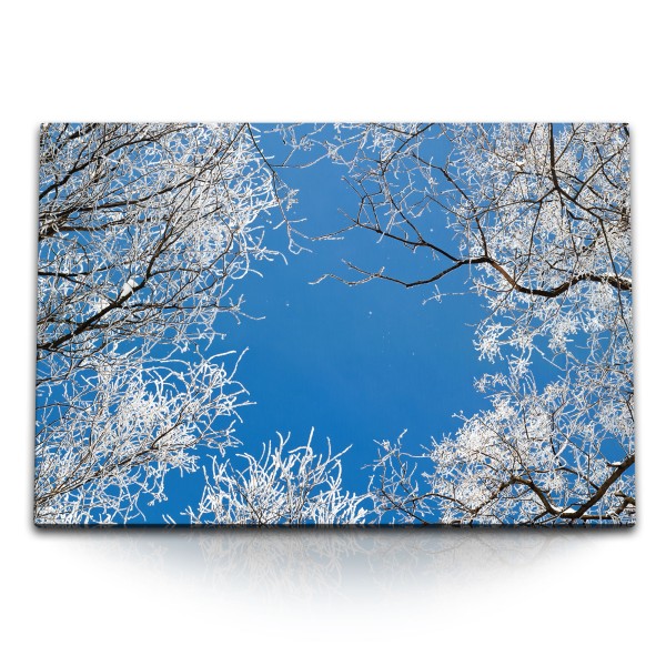 Paul Sinus Art 120x80cm Wandbild auf Leinwand Blauer Himmel Bäume Äste Winter Baumkronen