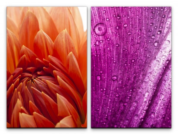 Paul Sinus Art 2 Bilder je 60x90cm Dahlie rote Blume Regentropfen Violett Dekorativ Fotokunst Makrofotografie